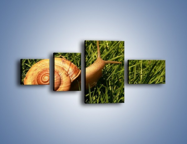Obraz na płótnie – Z ślimakiem przez łąkę – czteroczęściowy Z103W5