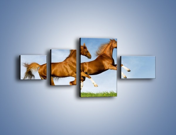 Obraz na płótnie – Skok przez pole z końmi – czteroczęściowy Z147W5