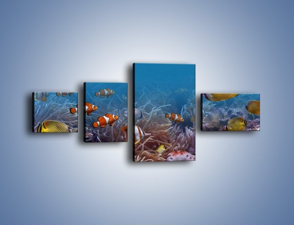 Obraz na płótnie – Ocean i jego kolorowi towarzysze – czteroczęściowy Z168W5