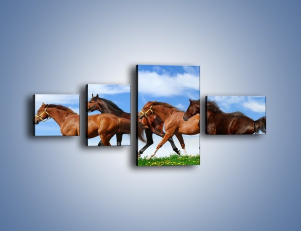 Obraz na płótnie – Galopujące stado brązowych koni – czteroczęściowy Z172W5