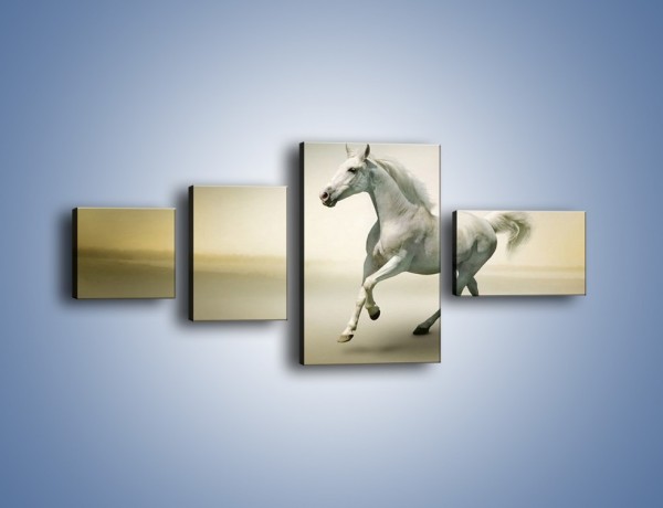 Obraz na płótnie – Samotny wieczór z białym koniem – czteroczęściowy Z175W5