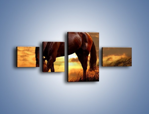 Obraz na płótnie – Spokój w końskim ciele – czteroczęściowy Z181W5