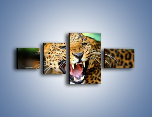 Obraz na płótnie – Jaguar z pazurem – czteroczęściowy Z184W5