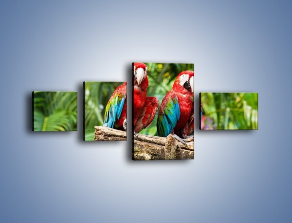 Obraz na płótnie – Papużki nierozłączki – czteroczęściowy Z188W5