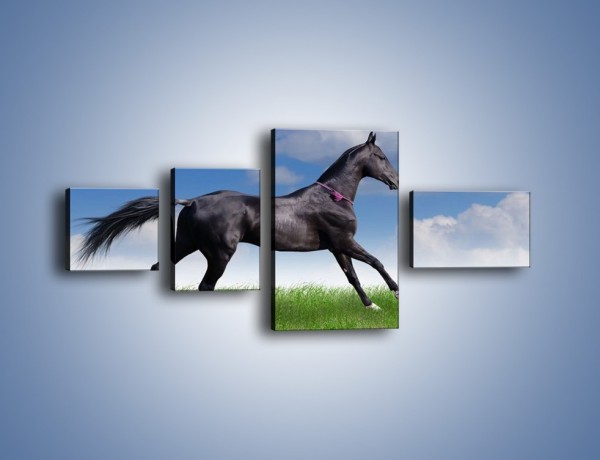 Obraz na płótnie – Dziki koń w biegu – czteroczęściowy Z194W5