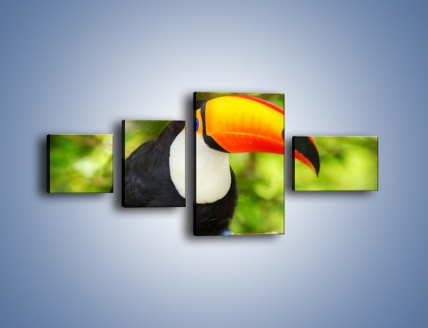 Obraz na płótnie – Kolorowy dziób tukana – czteroczęściowy Z195W5