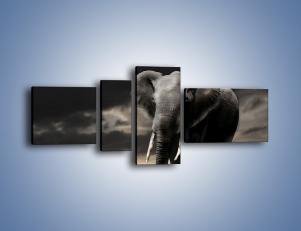 Obraz na płótnie – Smutna wędrówka słoni – czteroczęściowy Z207W5