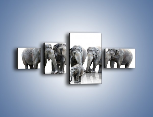 Obraz na płótnie – Na przyjęciu u słoniątka – czteroczęściowy Z209W5