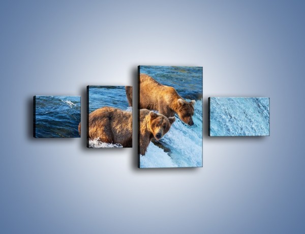 Obraz na płótnie – Niedźwiedzie na zjeżdżalni – czteroczęściowy Z213W5