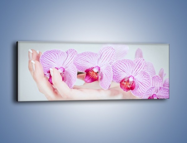 Obraz na płótnie – Piękno kwiatów w dłoni – jednoczęściowy panoramiczny K690