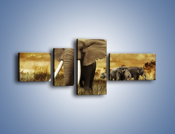 Obraz na płótnie – Drogocenne kły słonia – czteroczęściowy Z214W5