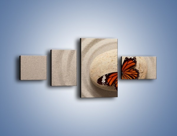 Obraz na płótnie – Spoczynek motyla na kamieniu – czteroczęściowy Z224W5