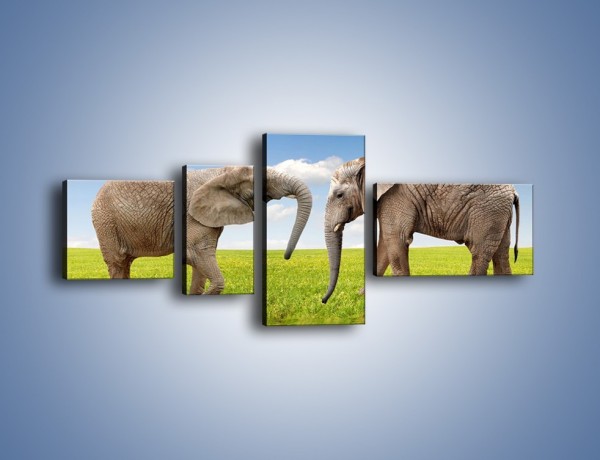 Obraz na płótnie – Poważne rozmowy słoni – czteroczęściowy Z228W5