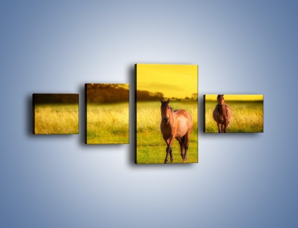 Obraz na płótnie – Polana i konie – czteroczęściowy Z230W5