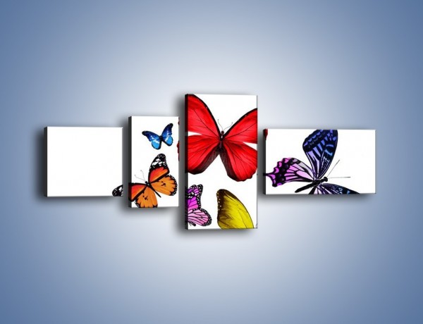 Obraz na płótnie – Kolorowo wśród motyli – czteroczęściowy Z236W5