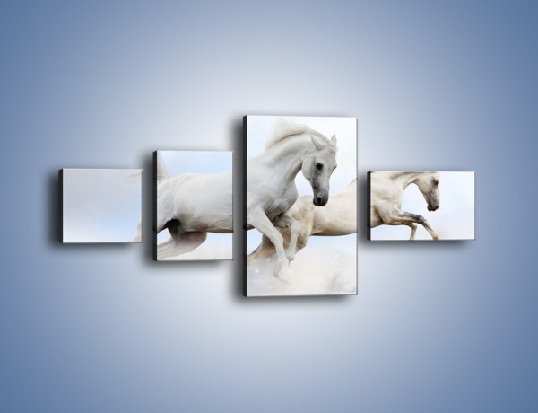 Obraz na płótnie – Białe konie i biały śnieg – czteroczęściowy Z239W5