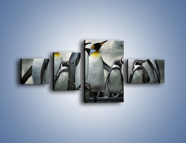 Obraz na płótnie – Pingwinki z madagaskaru – czteroczęściowy Z247W5