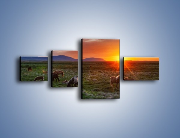 Obraz na płótnie – Konne stado o zachodzie słońca – czteroczęściowy Z249W5