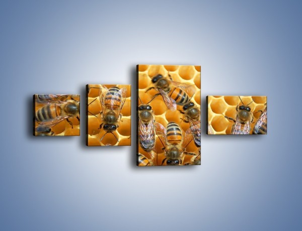 Obraz na płótnie – Pszczoły na plastrze miodu – czteroczęściowy Z265W5