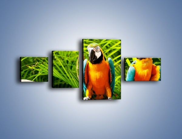 Obraz na płótnie – Papugi na tle paproci – czteroczęściowy Z278W5