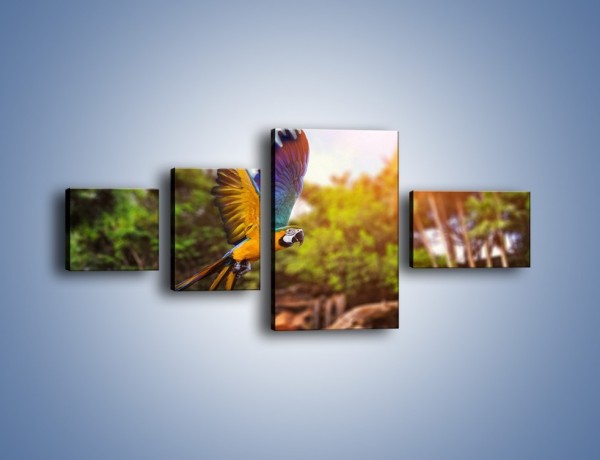 Obraz na płótnie – Kolorowa papuga w locie – czteroczęściowy Z280W5