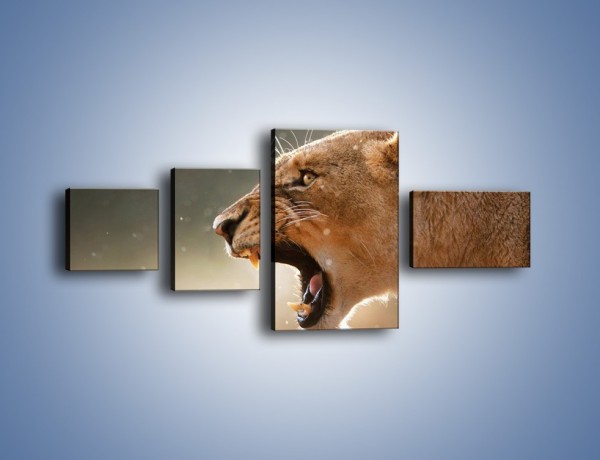 Obraz na płótnie – Ostrzeżenie lwiej samicy – czteroczęściowy Z299W5