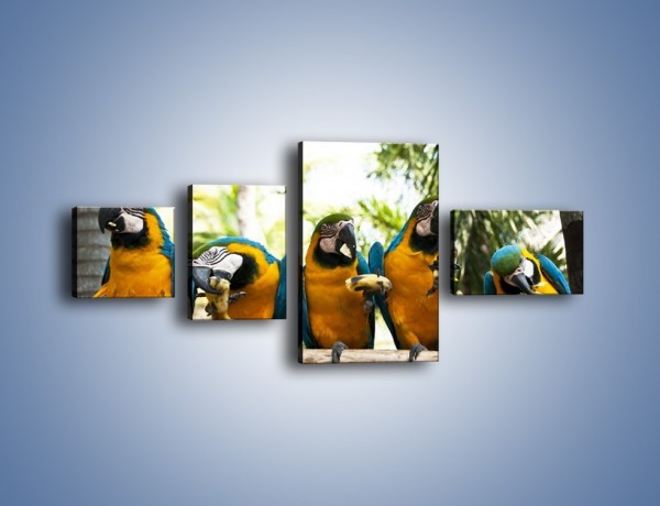 Obraz na płótnie – Piknik z papugami – czteroczęściowy Z322W5
