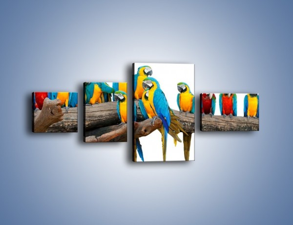 Obraz na płótnie – Kolorowe stado papug – czteroczęściowy Z326W5