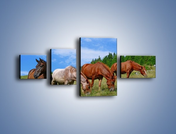 Obraz na płótnie – Spokój las i konie – czteroczęściowy Z330W5