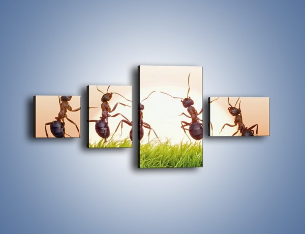 Obraz na płótnie – Taniec mrówek na trawie – czteroczęściowy Z338W5