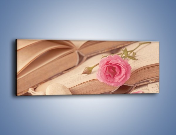 Obraz na płótnie – Różana zakładka miłosnej powieści – jednoczęściowy panoramiczny K698