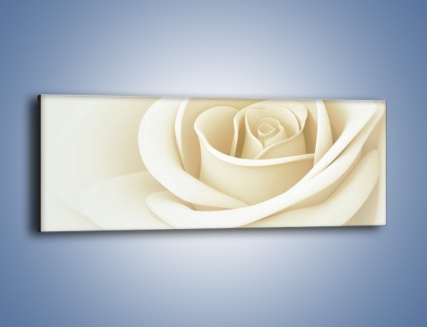 Obraz na płótnie – Róża niczym delikatny krem – jednoczęściowy panoramiczny K708