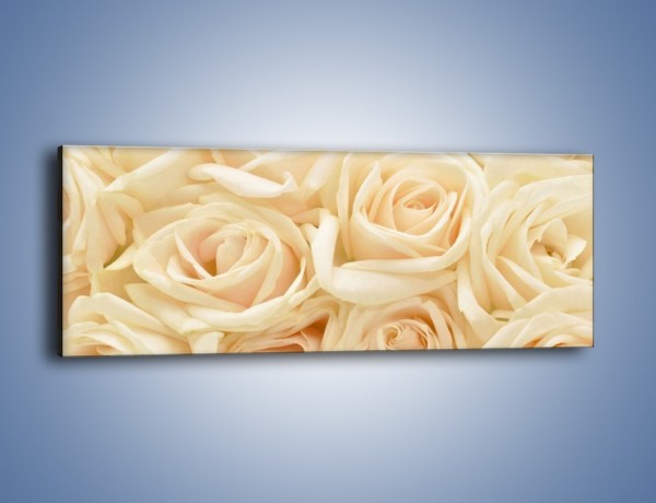 Obraz na płótnie – Bukiet herbacianych róż – jednoczęściowy panoramiczny K710