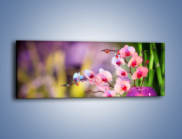 Obraz na płótnie – Pachnące kwiaty i świece – jednoczęściowy panoramiczny K731