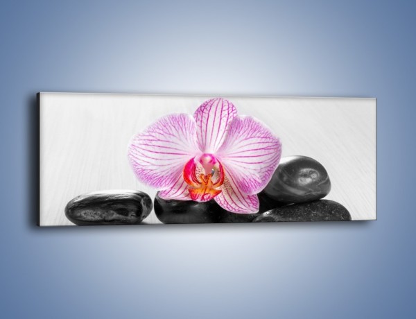 Obraz na płótnie – Kwiatowy motyw – jednoczęściowy panoramiczny K734