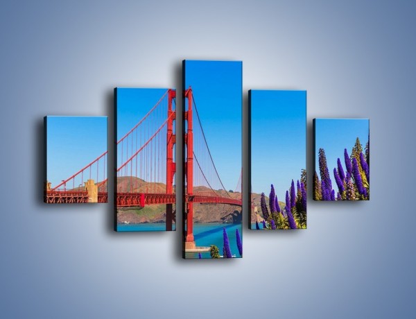 Obraz na płótnie – Golden Gate pod błękitnym niebem – pięcioczęściowy AM644W1