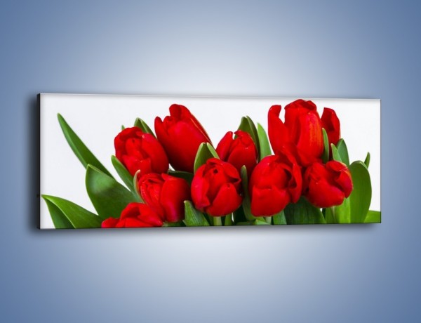 Obraz na płótnie – Tulipany na dzień kobiet – jednoczęściowy panoramiczny K740