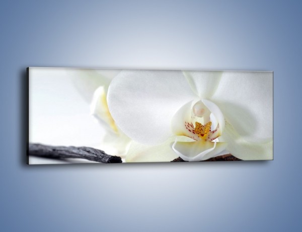 Obraz na płótnie – Laski wanilii i kwiat – jednoczęściowy panoramiczny K750