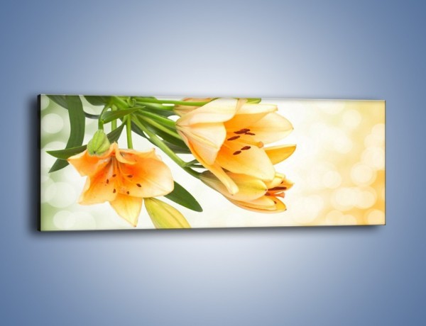 Obraz na płótnie – Łososiowe pachnące lilie – jednoczęściowy panoramiczny K755