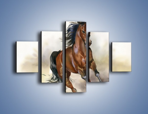 Obraz na płótnie – Piękny koń w galopie – pięcioczęściowy GR338W1