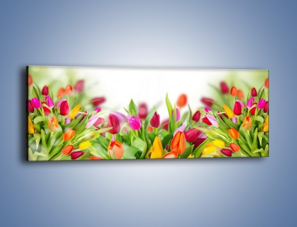 Obraz na płótnie – Tulipanowe bukieciki – jednoczęściowy panoramiczny K763