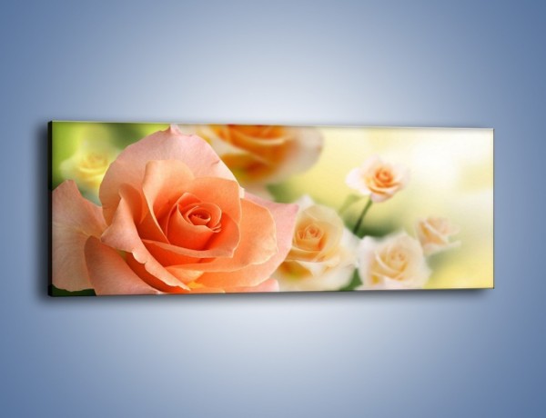 Obraz na płótnie – Dzikie róże w ogrodzie – jednoczęściowy panoramiczny K764