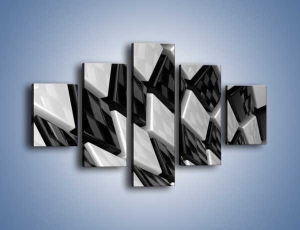Obraz na płótnie – Czarne czy białe – pięcioczęściowy GR425W1