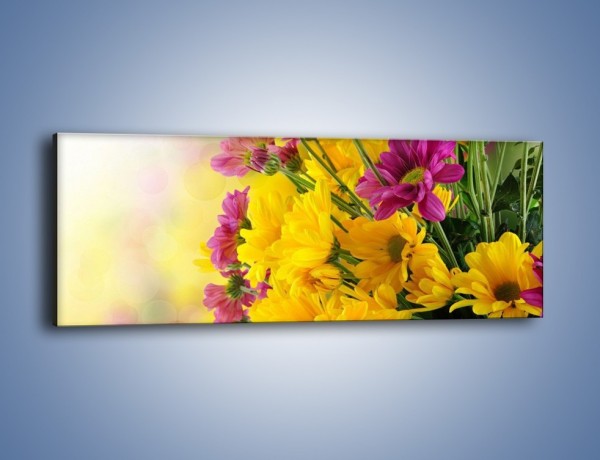 Obraz na płótnie – Kolorowe margaretki – jednoczęściowy panoramiczny K766