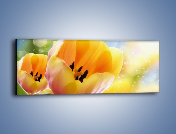 Obraz na płótnie – Tulipan jak sen – jednoczęściowy panoramiczny K776