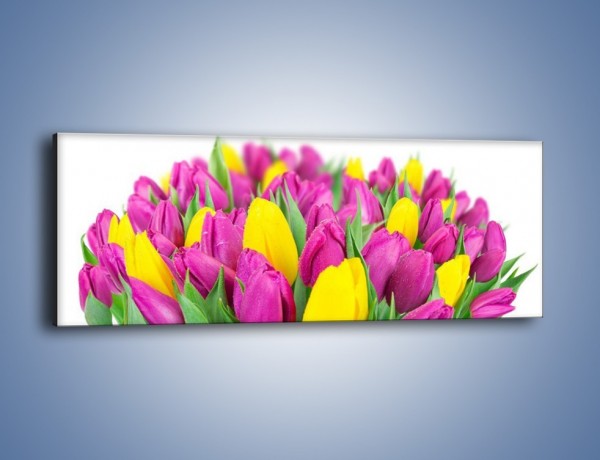 Obraz na płótnie – Bukiet fioletowo-żółtych tulipanów – jednoczęściowy panoramiczny K778