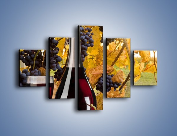 Obraz na płótnie – Wino wśród winogron – pięcioczęściowy JN007W1