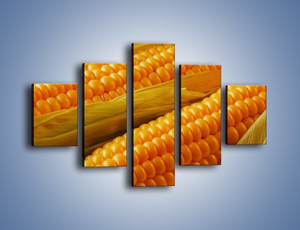 Obraz na płótnie – Kolby dojrzałych kukurydz – pięcioczęściowy JN046W1