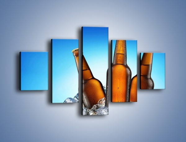Obraz na płótnie – Szron na butelkach piwa – pięcioczęściowy JN075W1