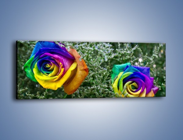 Obraz na płótnie – Kolorowe różane główki – jednoczęściowy panoramiczny K800